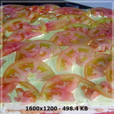 TARTA DE VERDURAS CON ATUN EN CONSERVA Y TOMATE FRITO (Angel) Df96d473d992cb8b4799b6bf26fa204fo