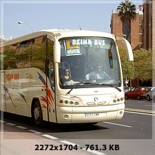 Reina Bus E5e3f77bdf41ddffb6d266459bf207dco