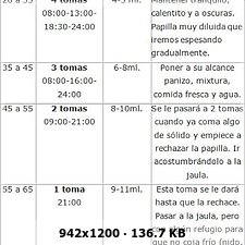 ¿ Cuándo hay que introducir  la comida sólida ? E6a4619bc5b44a42c00371aad4e0c57eo