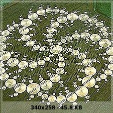 LOS CIRCULOS DE TRIGO F7244e599deb3ec53a07f7a326193969o