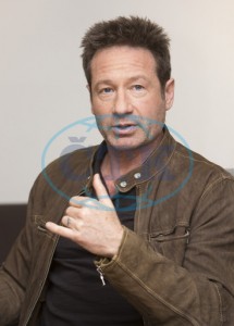 2018/01/10 - The X-Files TCA Panel Ea76a3734170173