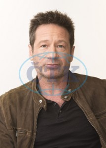 2018/01/10 - The X-Files TCA Panel C0ff9e734170353