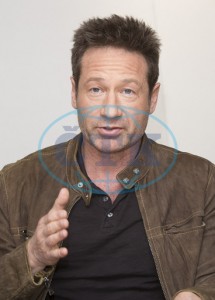 2018/01/10 - The X-Files TCA Panel B6dfd6734169713