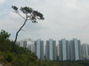 Hiking Tin Shui Wai - 頁 17 Daa3c31001537044