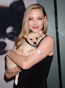 Amanda Seyfried E08b2b927608814