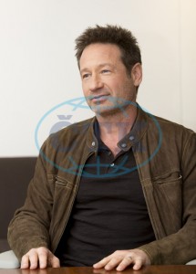 2018/01/10 - The X-Files TCA Panel D3b3e8734170063