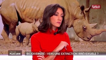 Rebecca Fitoussi – Octobre 2018 5143771015488984