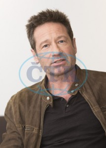 2018/01/10 - The X-Files TCA Panel 569b8b734170373