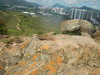 Hiking Tin Shui Wai - 頁 25 40cc1e1244987204