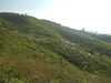 Hiking Tin Shui Wai - 頁 19 9951701068933984