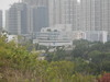 Hiking Tin Shui Wai - 頁 24 6df4961207615064