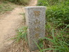 Hiking Tin Shui Wai - 頁 17 4c59b91018469134