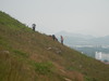 Hiking Tin Shui Wai - 頁 17 2d318f1011992854