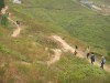 Hiking Tin Shui Wai - 頁 8 10b7f7704664943