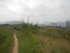Hiking Tin Shui Wai - 頁 17 25c63e1011948494