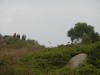 Hiking Tin Shui Wai - 頁 8 0ad2a9704576313