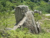 Hiking 祟山大棠  - 頁 2 0c2182897086684