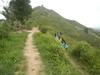 Hiking Tin Shui Wai - 頁 25 11fd421232580814