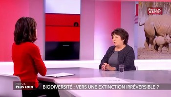 Rebecca Fitoussi – Octobre 2018 4e75c91015489014