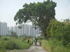 Hiking Tin Shui Wai - 頁 17 2e65a01013154354