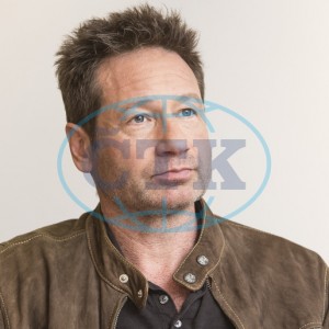 2018/01/10 - The X-Files TCA Panel D02318734170133