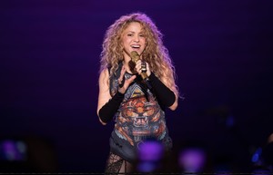 Shakira                        2aecfe894604344