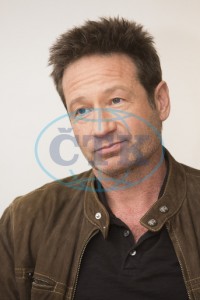 2018/01/10 - The X-Files TCA Panel 82176b734170753