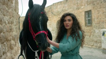 Hercai - Poze oficiale // Rezumate // Fragmente traduse  - Pagina 3 969feb1227543704