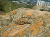 Hiking Tin Shui Wai - 頁 25 6dbe6f1244987724