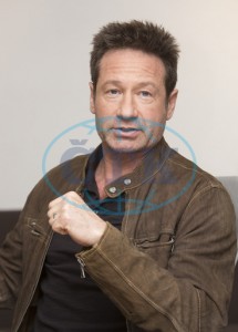 2018/01/10 - The X-Files TCA Panel 7dfafd734169783