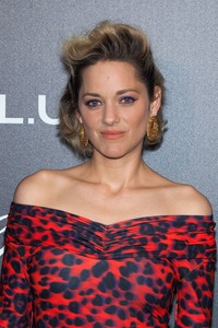 Marion Cotillard  3387df899487244