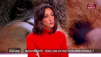 Rebecca Fitoussi – Octobre 2018 Dcb98d1015489054