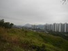 Hiking Tin Shui Wai - 頁 8 76404a689455433