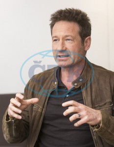 2018/01/10 - The X-Files TCA Panel 0ce475734169663