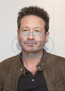 2018/01/10 - The X-Files TCA Panel A37c5e734170703