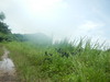 Hiking Tin Shui Wai - 頁 15 6cbdde950504854