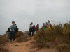 Hiking Tin Shui Wai - 頁 8 5b3297704544903