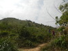 Hiking Tin Shui Wai - 頁 17 3d41501013256394