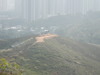 Hiking Tin Shui Wai - 頁 19 A574401068945994