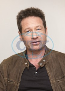 2018/01/10 - The X-Files TCA Panel 764ef4734170203