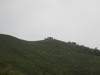 Hiking Tin Shui Wai - 頁 17 Ccb8a11011891674