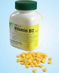 Vitamin B2 và tầm quan trọng với cơ thể 579t