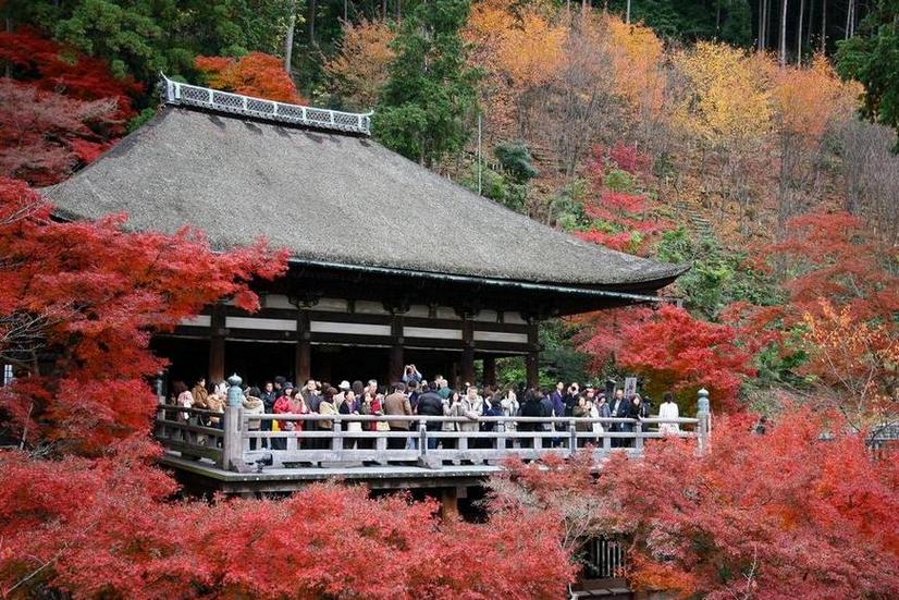 Du lịch Nhật Bản: Mùa Kyoto nồng nàn Koyo2