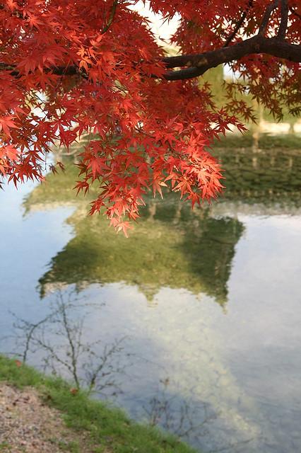 Du lịch Nhật Bản: Mùa Kyoto nồng nàn Koyo12