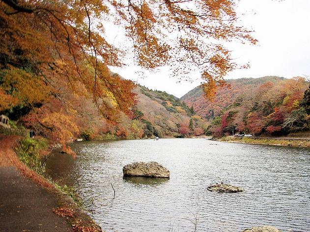 Du lịch Nhật Bản: Mùa Kyoto nồng nàn Koyo13