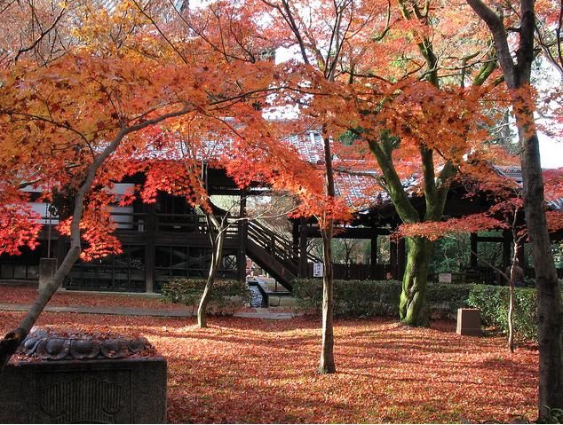 Du lịch Nhật Bản: Mùa Kyoto nồng nàn Koyo14