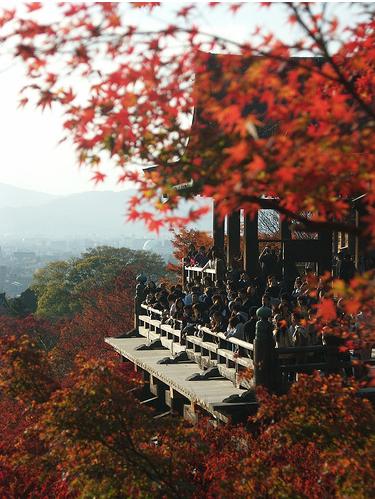 Du lịch Nhật Bản: Mùa Kyoto nồng nàn Koyo8