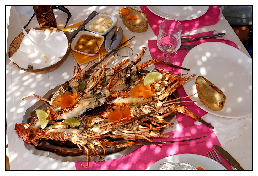 Le soleil des Antilles Langouste-martinique