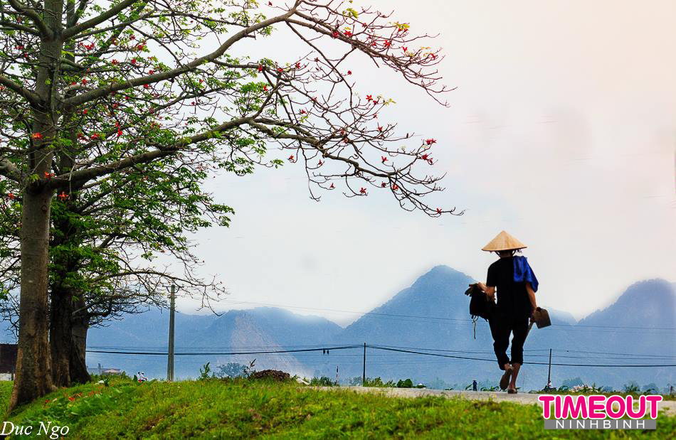 Sống Ba Tháng Trên Cây N%E1%BB%97i-ni%E1%BB%81m-l%C3%A3-ch%C3%A3-hoa-g%E1%BA%A1o-Th%C3%A1ng-Ba-2