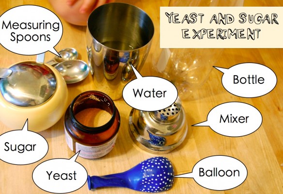 Yeast and Sugar Experiment Fun By rachelle Yeast-experiment-585x400